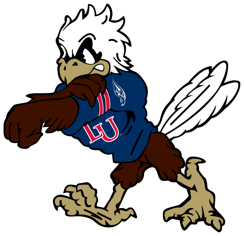 Liberty Flames 2003-2013 Mascot Logo iron on transfers for clothing
